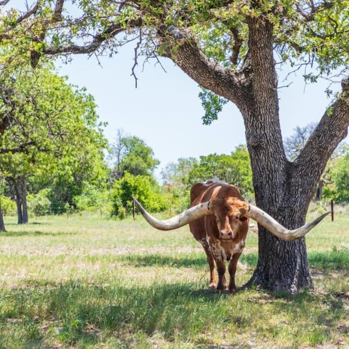 A Rare Find! - Bright & Gorgeous Lake Home In Marble Falls Esterno foto